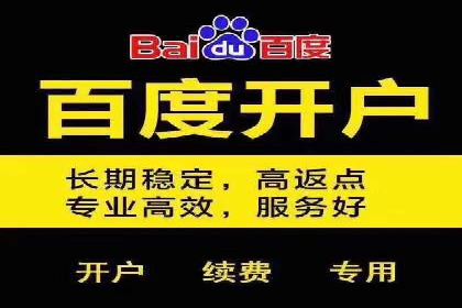 深度解析：SEM竞价优化提升ROI的案例